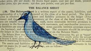 Bird on Balance Sheet